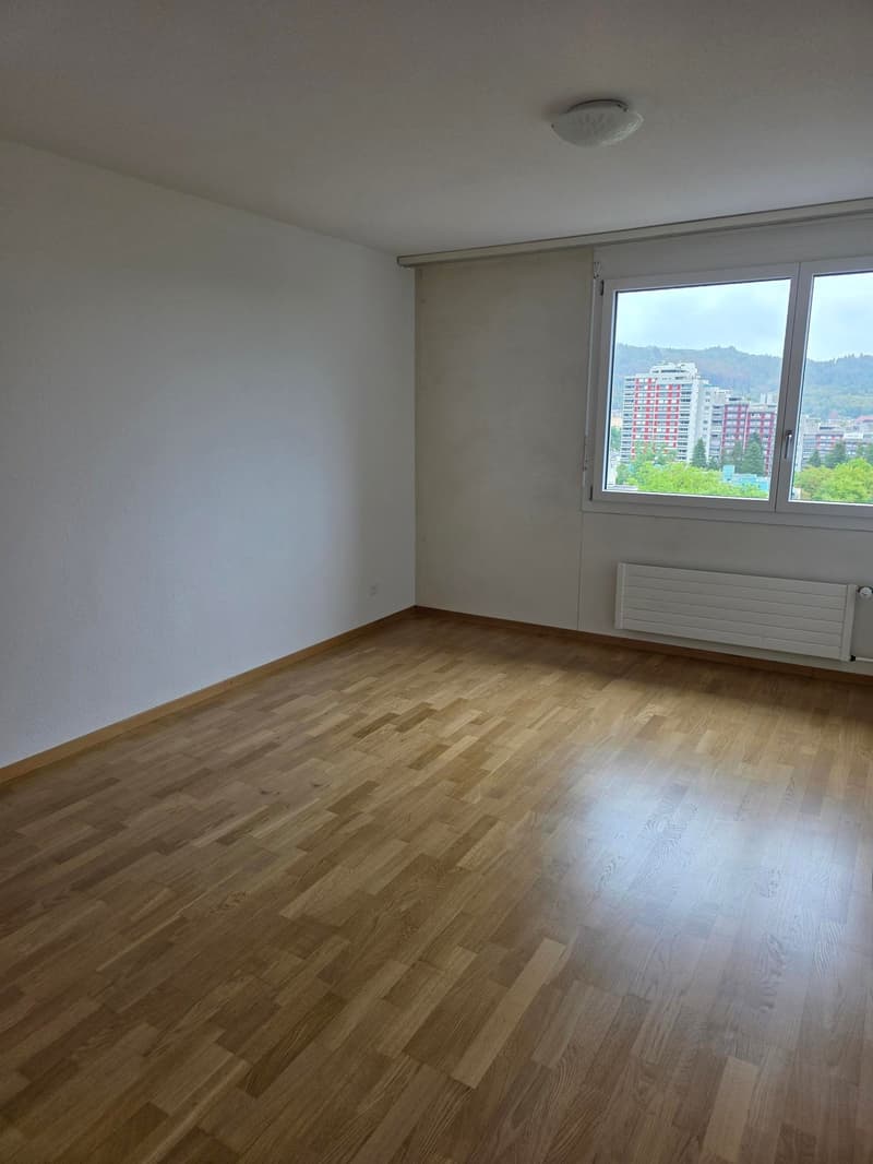 Über den Dächern von Bern (5)