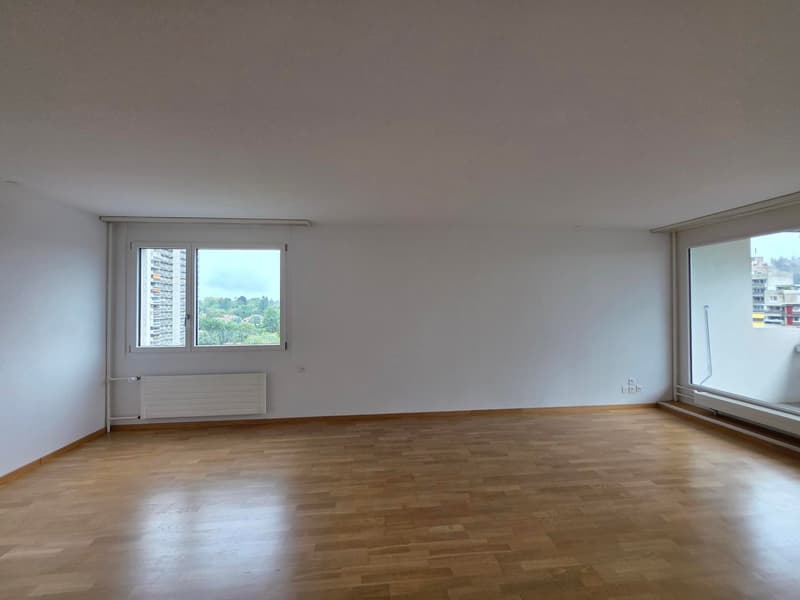 Über den Dächern von Bern (3)