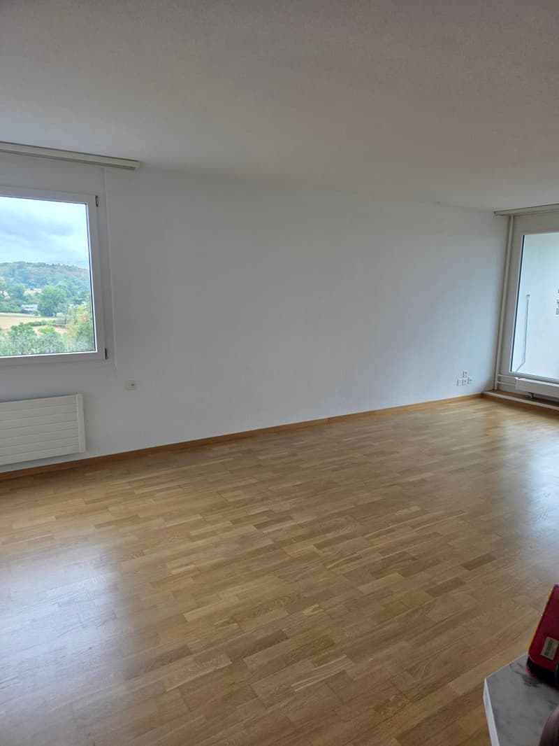Über den Dächern von Bern (4)