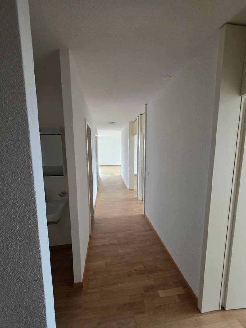 Über den Dächern von Bern (10)