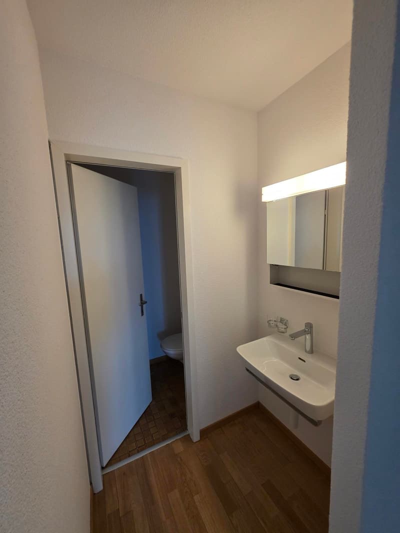 Über den Dächern von Bern (8)