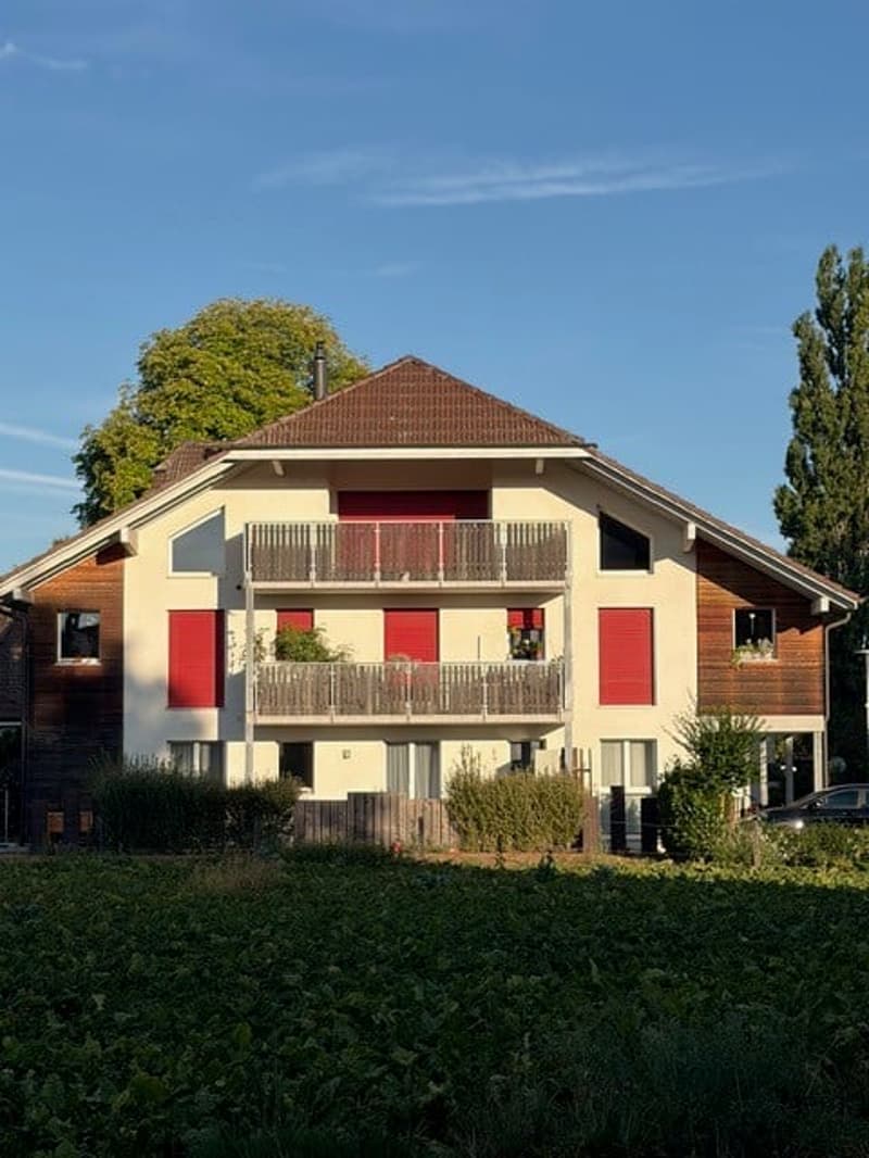 spezielle 4,5-Zimmer Dachwohnung (18)
