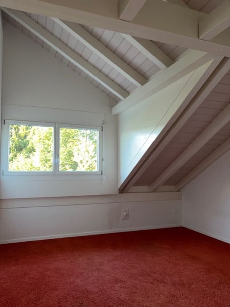 spezielle 4,5-Zimmer Dachwohnung (13)