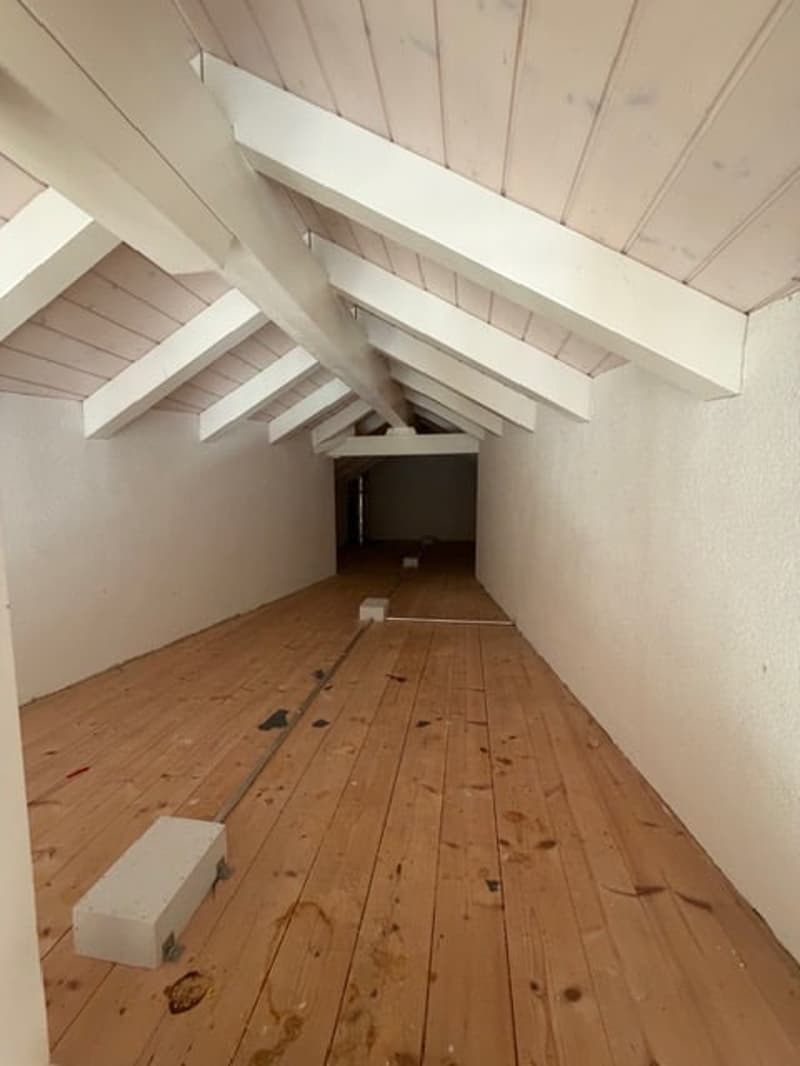 spezielle 4,5-Zimmer Dachwohnung (17)