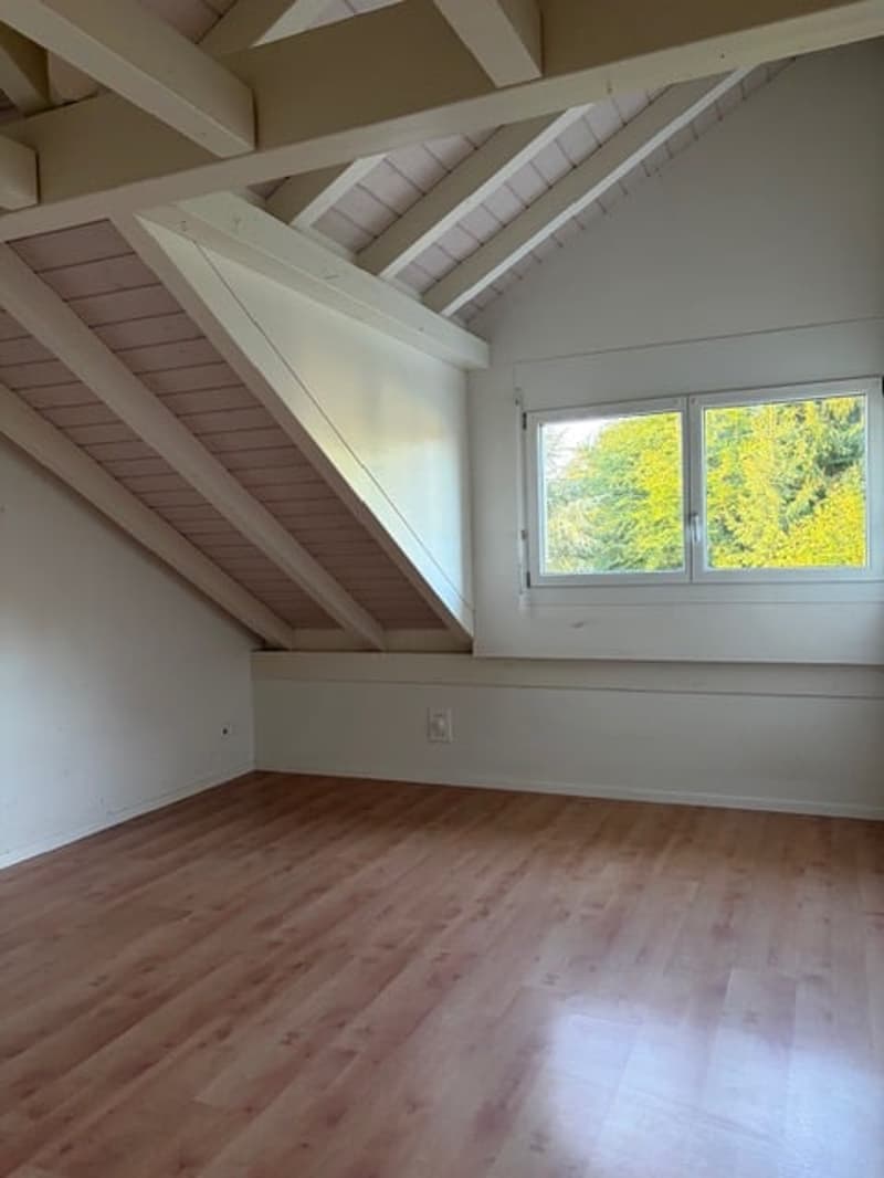 spezielle 4,5-Zimmer Dachwohnung (11)