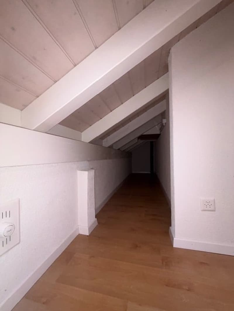 spezielle 4,5-Zimmer Dachwohnung (12)