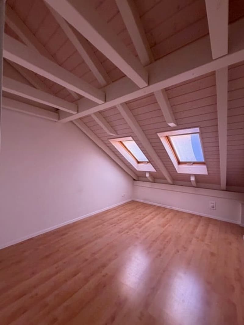 spezielle 4,5-Zimmer Dachwohnung (10)