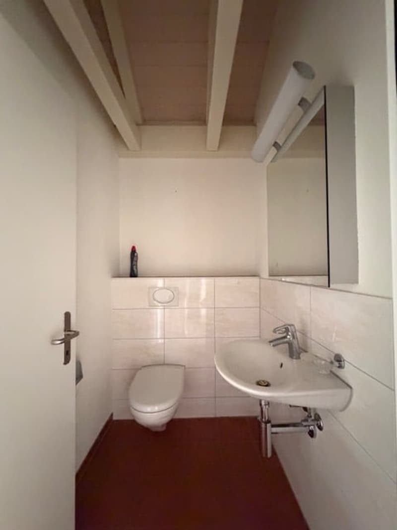 spezielle 4,5-Zimmer Dachwohnung (15)