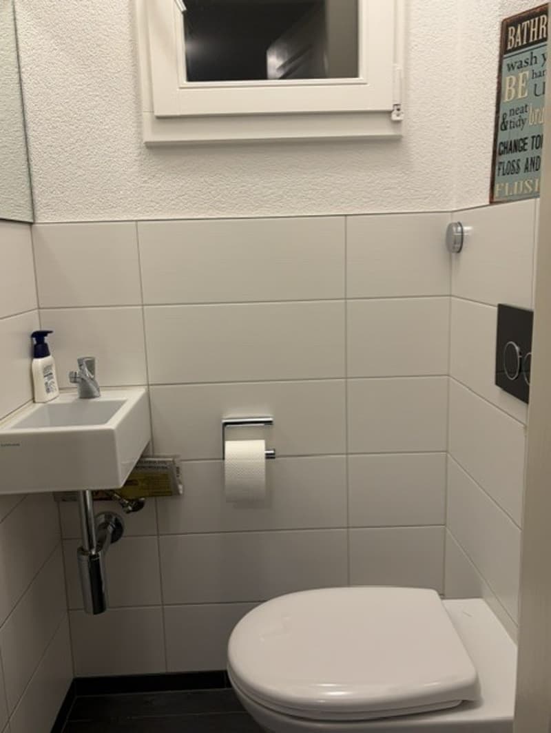 Tolle Wohnung im beliebten Fischermätteli Quartier (8)