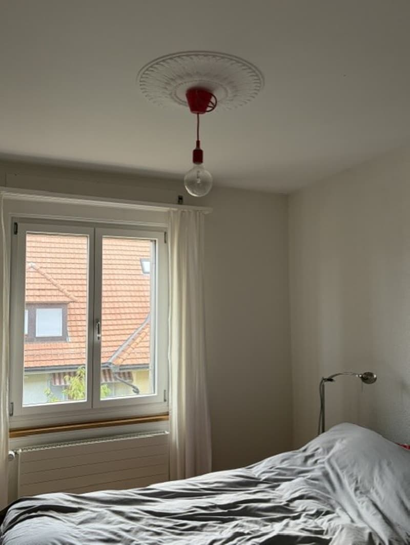 Tolle Wohnung im beliebten Fischermätteli Quartier (6)