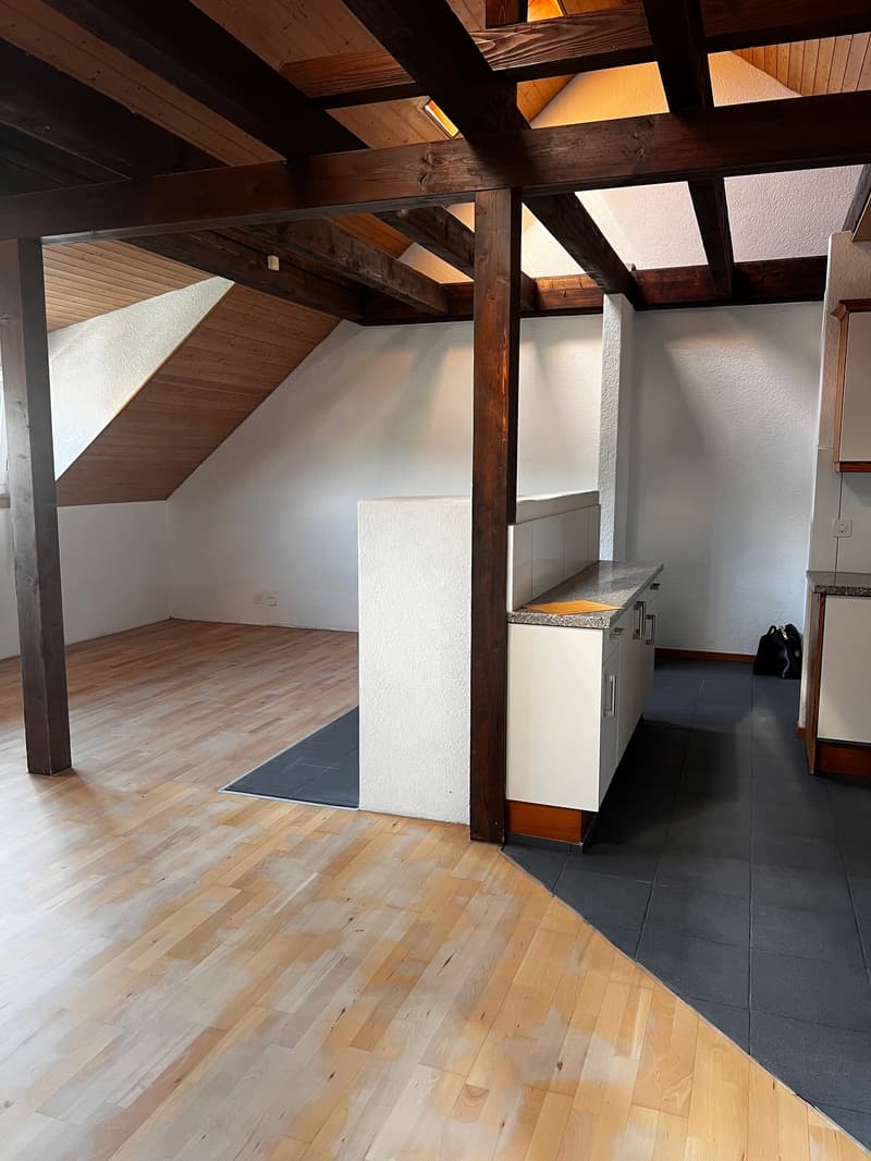Charmante Dachwohnung (5)