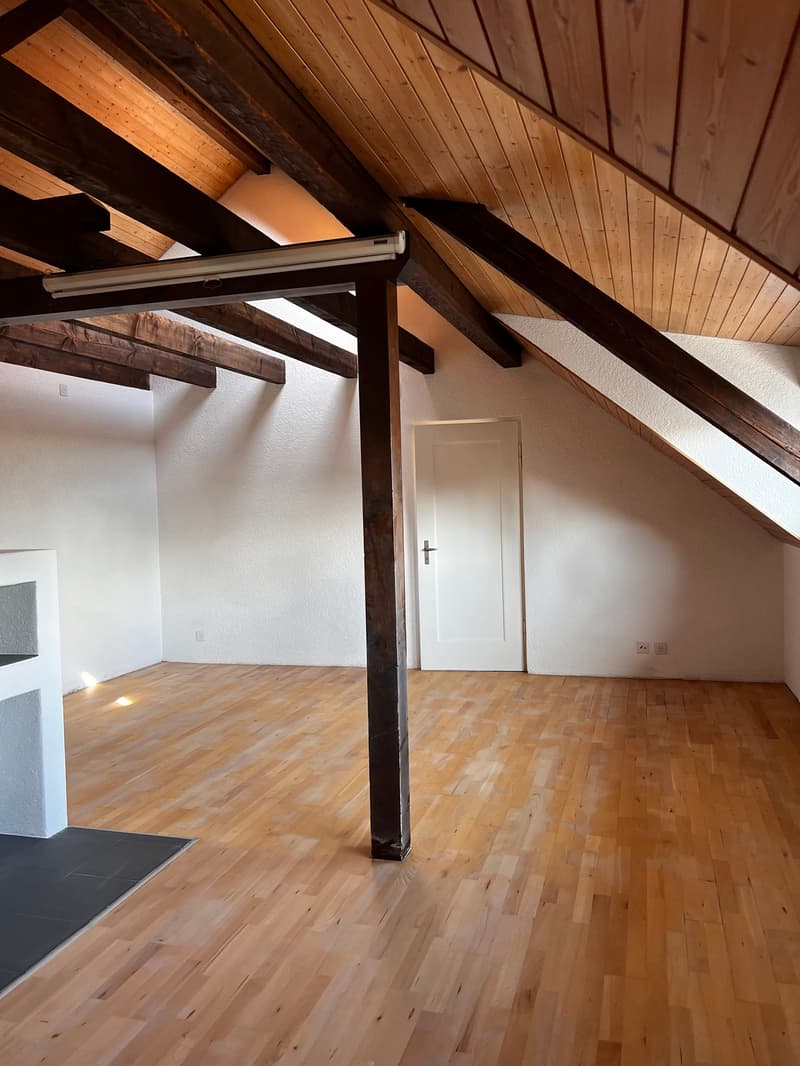 Charmante Dachwohnung (2)
