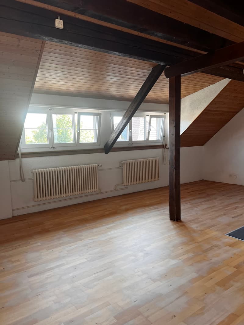 Charmante Dachwohnung (3)