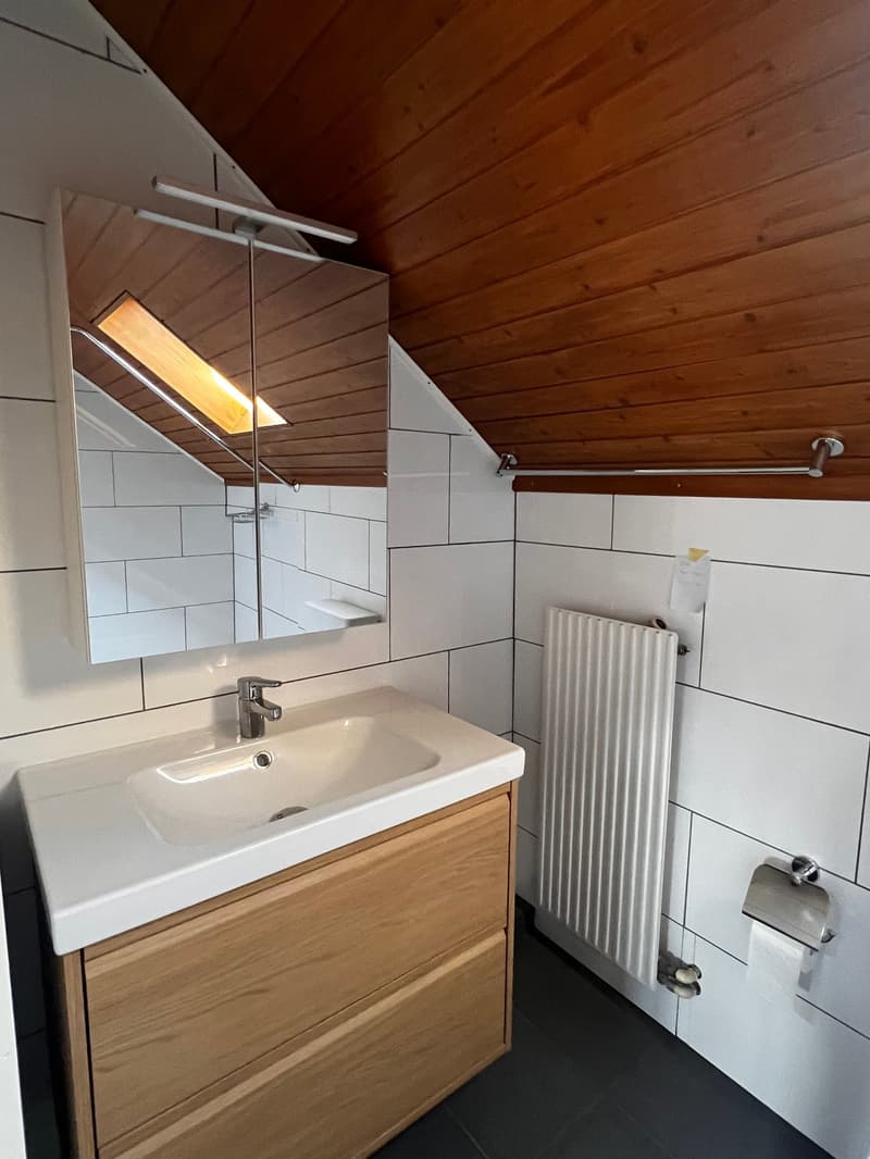 Charmante Dachwohnung (10)
