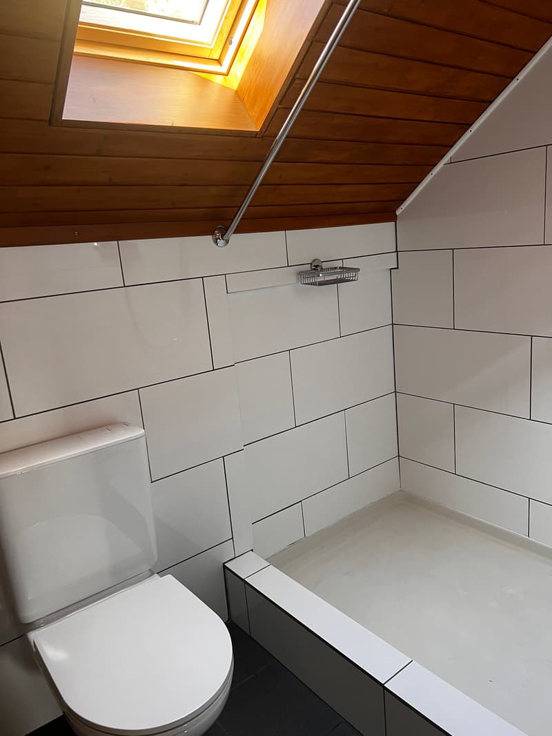 Charmante Dachwohnung (9)