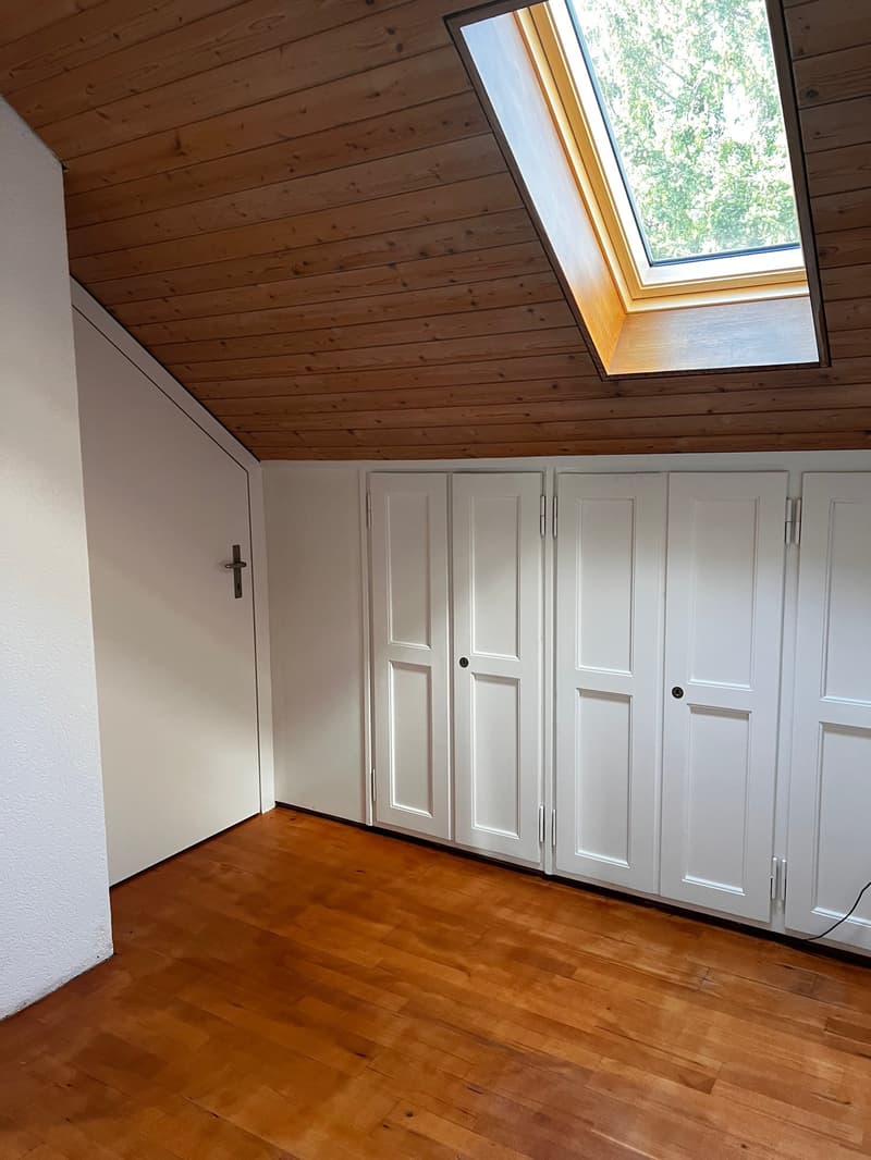 Charmante Dachwohnung (8)