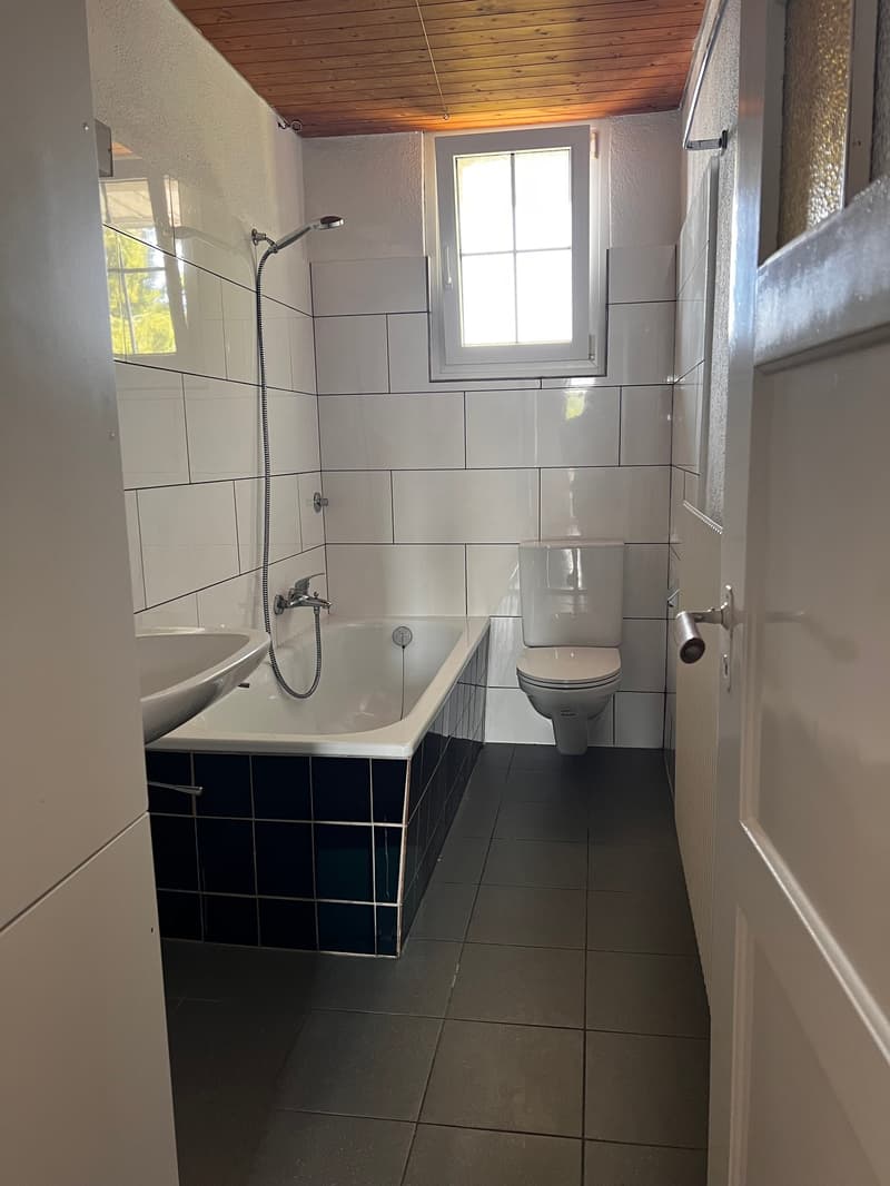 Altbauwohnung mit Charme (9)
