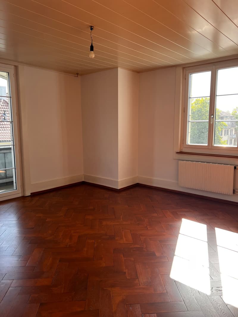 Altbauwohnung mit Charme (3)