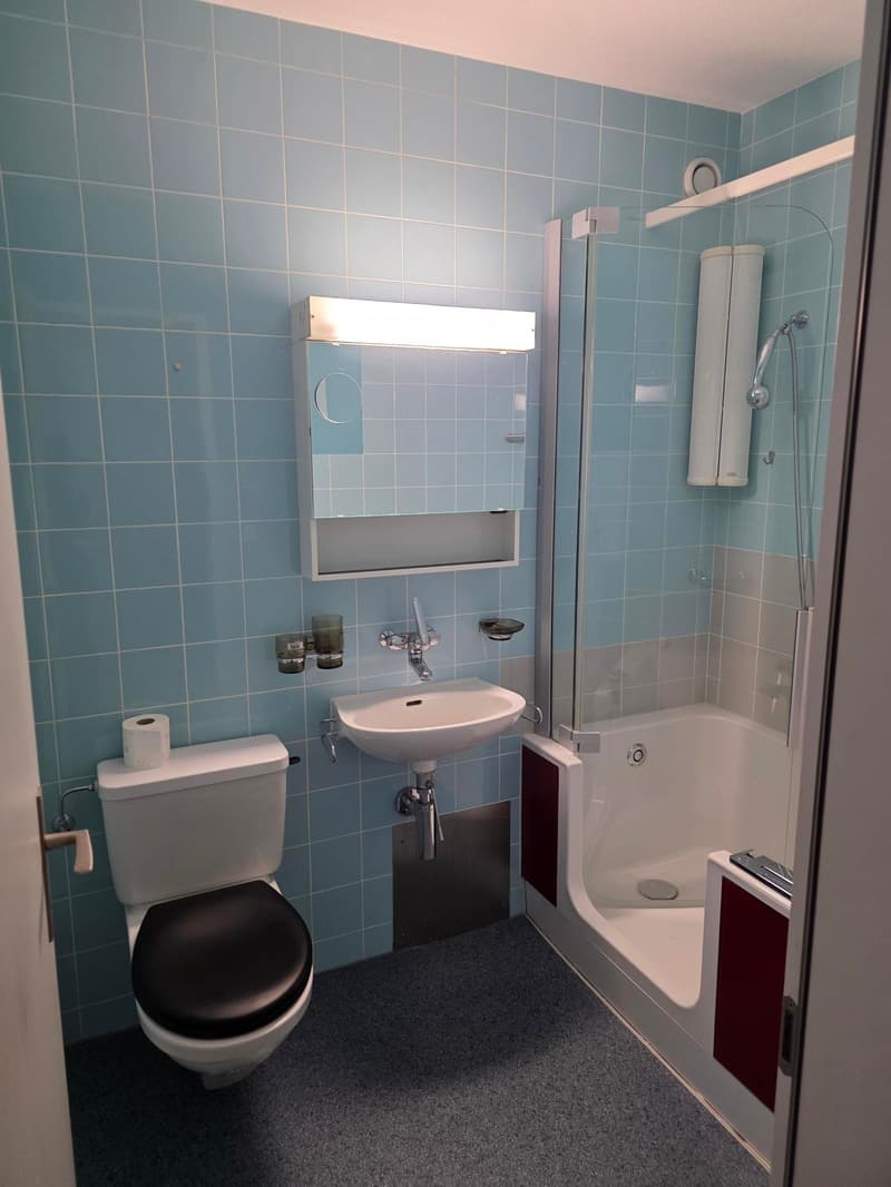 4-Zimmerwohnung im 16. Stock mit unschlagbarem Panorama (5)