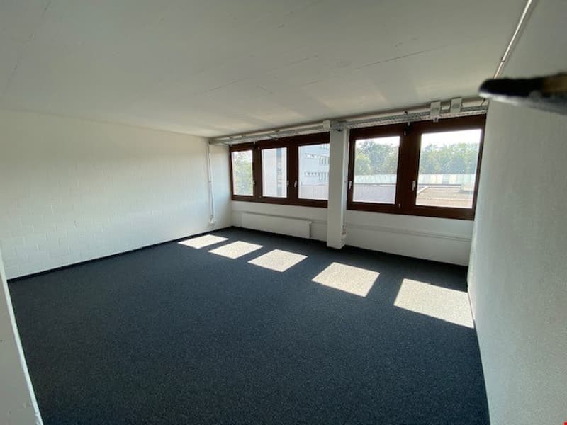 The image shows a large, open office space with white walls and a dark gray carpeted floor. The room has several large windows along one wall, allowing natural light to enter the space. The room appears to be empty, with no furniture or other objects visi