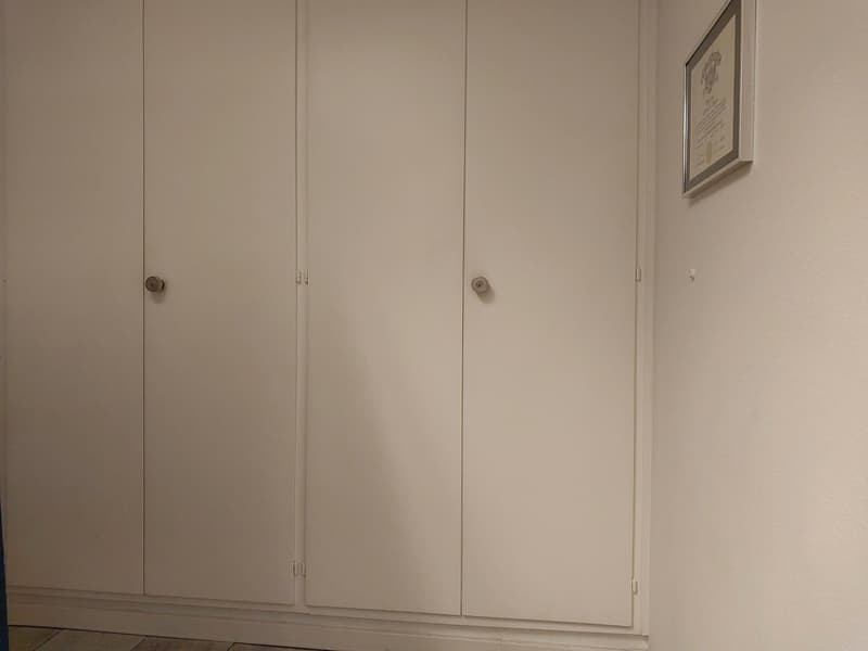 a closet with three doors and a framed picture on the wall