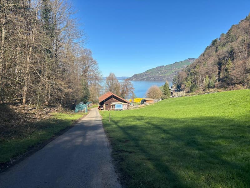 Erstvermietung am Thunersee: 4-Zimmer-Wohnung mit Seesicht, Balkon und Seezugang (6)
