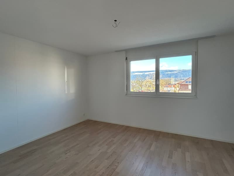 Bello appartamento di 4.5 locali in attico (11)