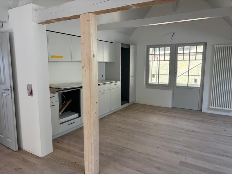 Primo affitto sul Lago di Thun: appartamento di 2 camere con vista sul lago, balcone e accesso al lago (6)