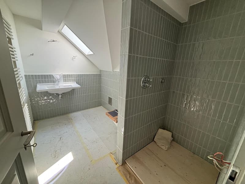 Primo affitto sul Lago di Thun: appartamento di 2 camere con vista sul lago, balcone e accesso al lago (7)