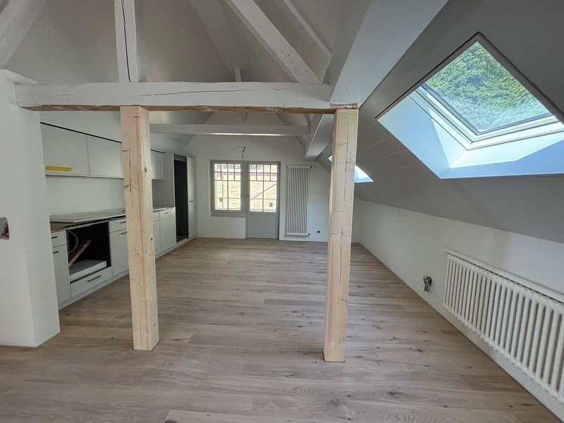 Primo affitto sul Lago di Thun: appartamento di 2 camere con vista sul lago, balcone e accesso al lago (5)