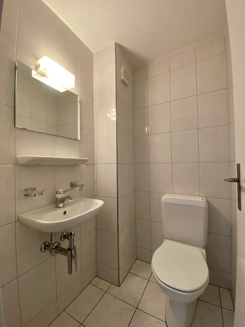 Appartement 4 pièces abordable dans un quartier résidentiel attractif (3)
