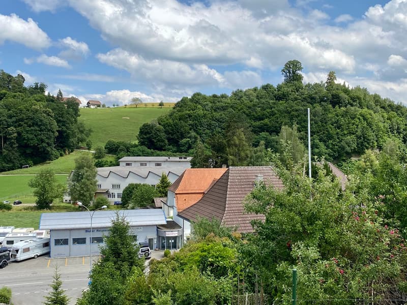 Ampio appartamento di 6 locali con giardino e balcone a Melchnau (12)