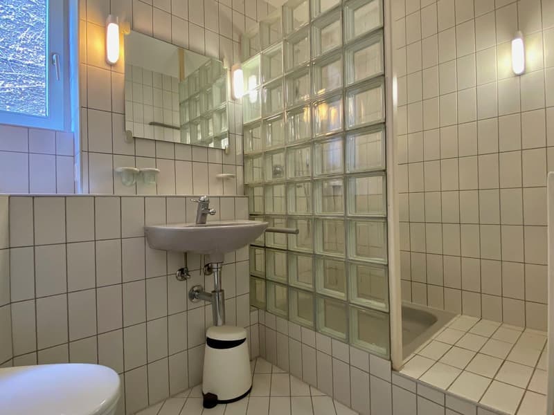 6.5 room house for sale (13)