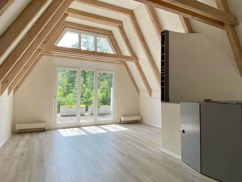 6.5 Zimmer Haus zu verkaufen (10)