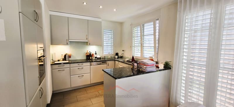 Spacious 4.5 room apartment (5)