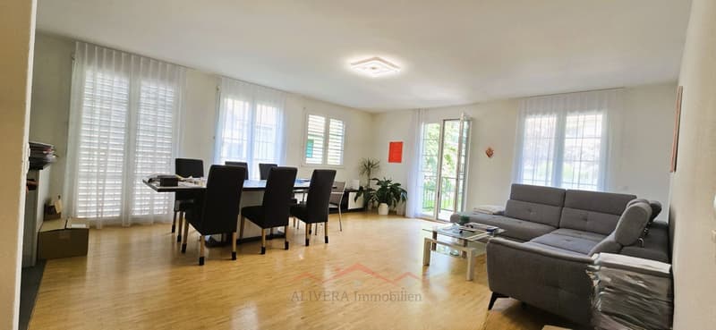 Spacious 4.5 room apartment (6)