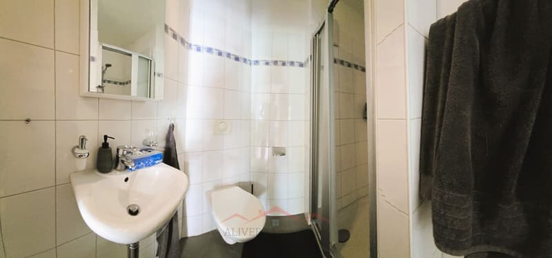 Spacious 4.5 room apartment (12)