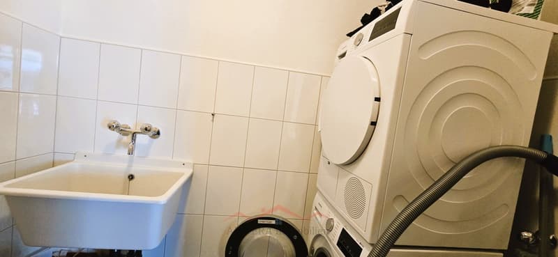 Spacious 4.5 room apartment (10)