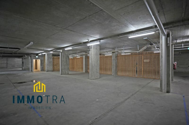 Spacious storage space in Köniz (1)
