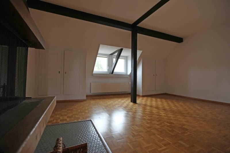 Appartamento 2.5 locali nel quartiere di Kirchenfeld (3)