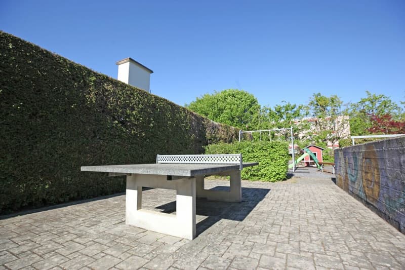 4.5-Zimmer-Eckhaus mit Gartenanlage Kopie (7)