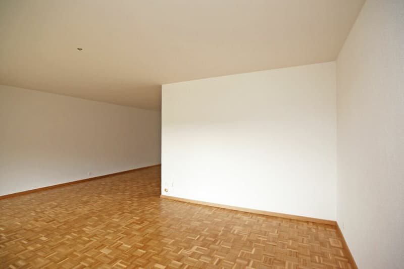 Teilsaniertes Studio in der Nähe von Bern - 57 m2 (3)