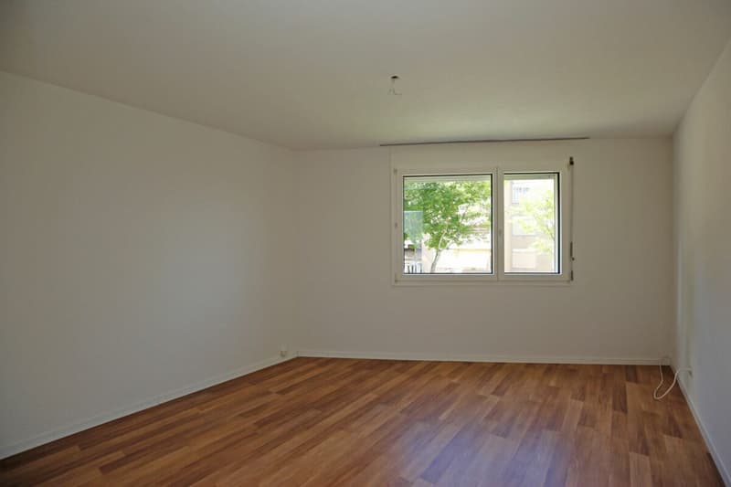 Ruhiges Wohnen neben dem Zentrum von  Urtenen-Schönbühl  4.5-Zimmer-Erdgeschosswohnung (4)