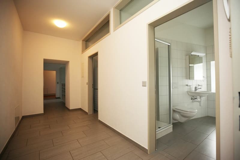 Grosszügige 5-Zimmer-Wohnung in ehemaligem Bauernhaus (12)