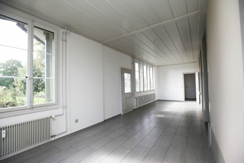 Grosszügige 5-Zimmer-Wohnung in ehemaligem Bauernhaus (22)