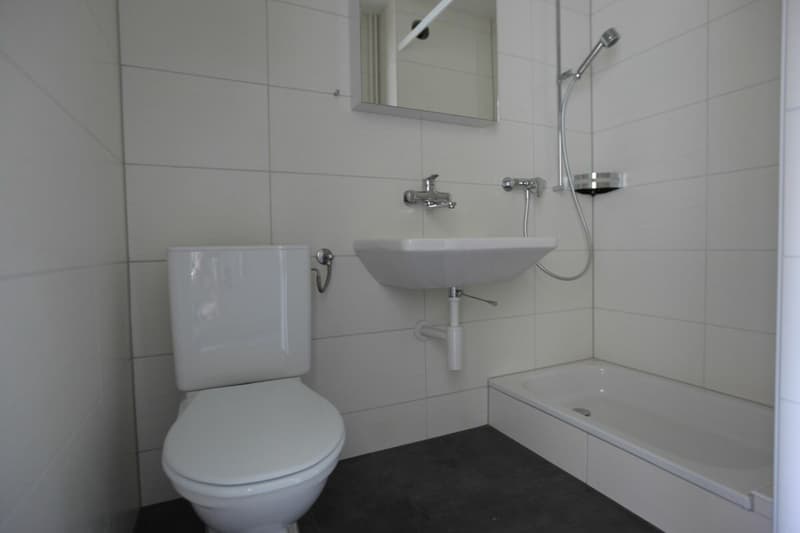 Gemütliche 1-Zimmerwohnung in Münchenbuchsee (2)