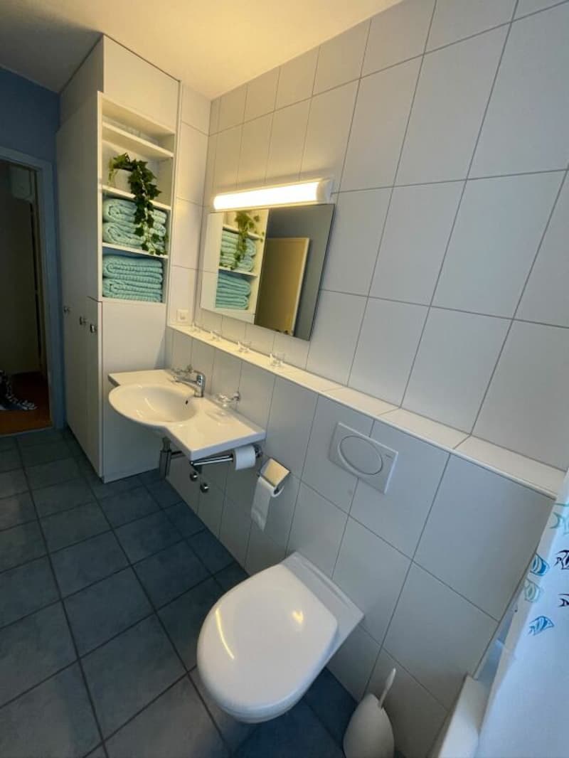 Untermiete: 3.5-Zimmer-Wohnung, Hochparterre (3)