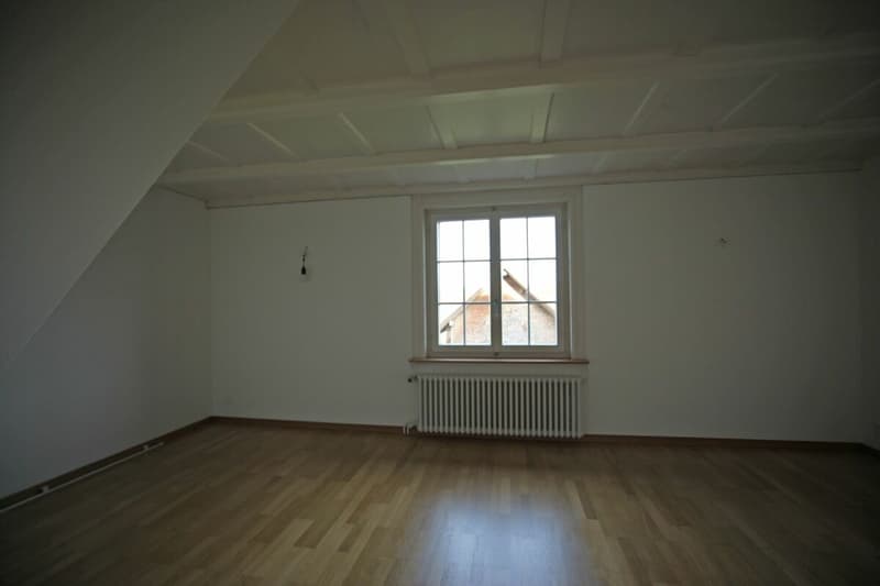 6.5-Zimmer-Wohnung in einem Bauernhaus (14)