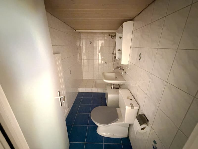 Vielseitiges Atelier mit Dusche/WC | Farbgutstrasse 8, St. Gallen (5)
