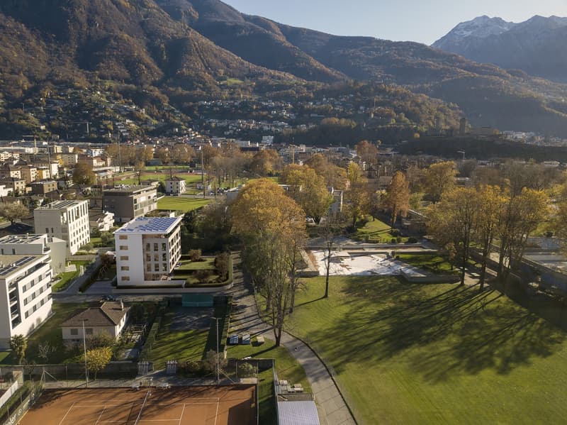 Appartamento di 2.5 locali con giardino privato a due passi dal centro storico di Bellinzona (1)